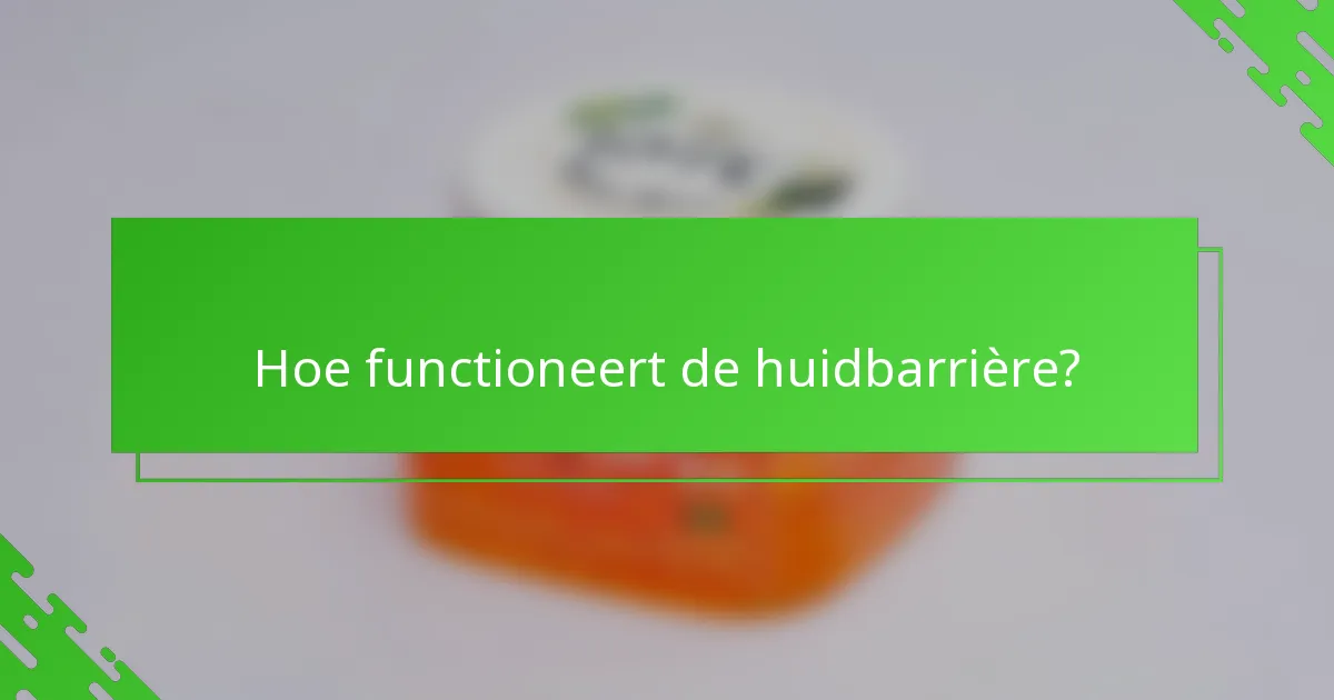 Hoe functioneert de huidbarrière?