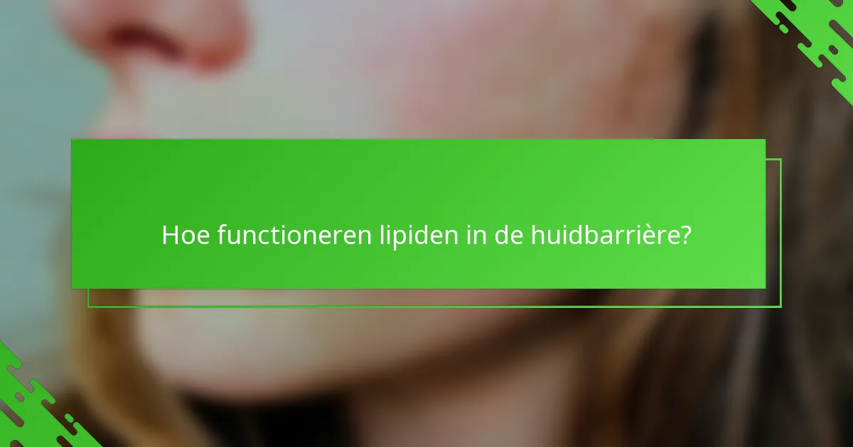 Hoe functioneren lipiden in de huidbarrière?